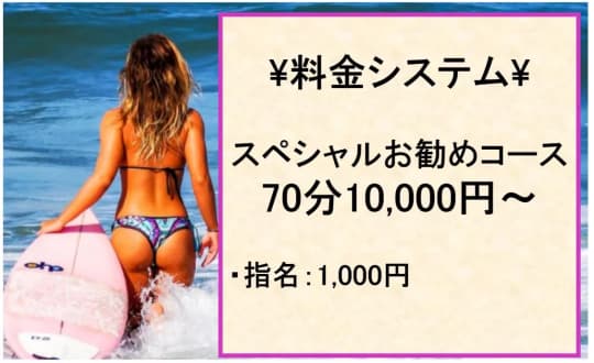 彼女の家の料金システム