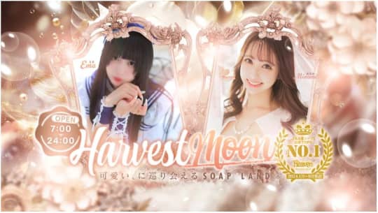 HARVESTMOON(ハーベストムーン)