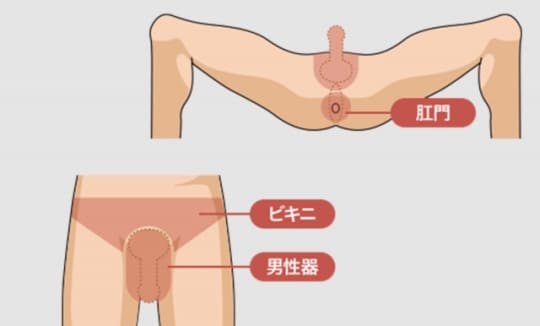 男でもパイパンにするの？