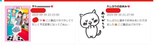 写メ日記