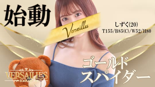 ヴェルサイユのHP画像