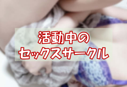 セックスサークル