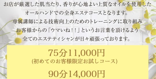 レモネード　料金