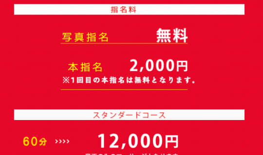 ぼくのエステの料金システム