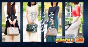 https://purelovers.com/shop/14038/system/