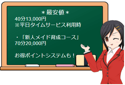 セントエミリオンの料金システム