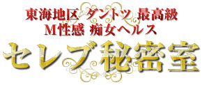 セレブ秘書室のTOP画像