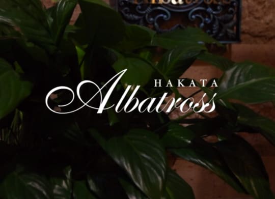 Albatross(アルバトロス)