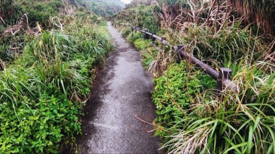 シンビジへ続く遊歩道