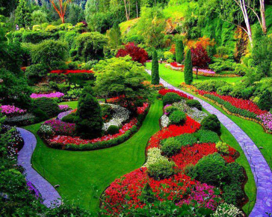 Butchart-Gardens-Victoria