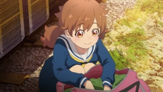 星撫子