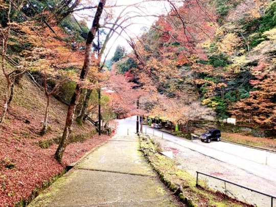 神護寺参道２