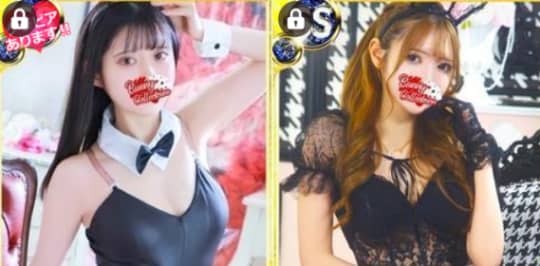 バニーコレクション