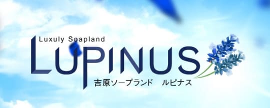ルピナス