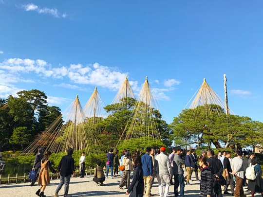 兼六園の雪吊り