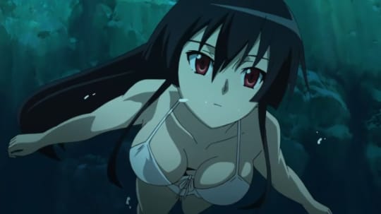アカメが斬る！