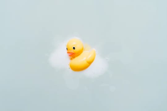 ひよことお風呂
