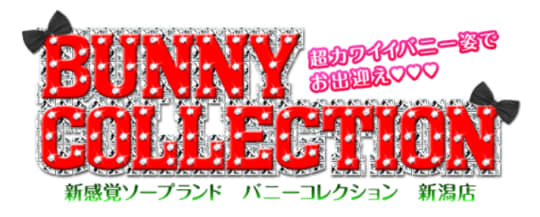 バニーコレクション 新潟店