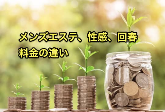 メンズエステ　性感　回春　料金