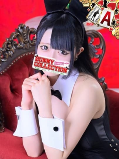バニーコレクション