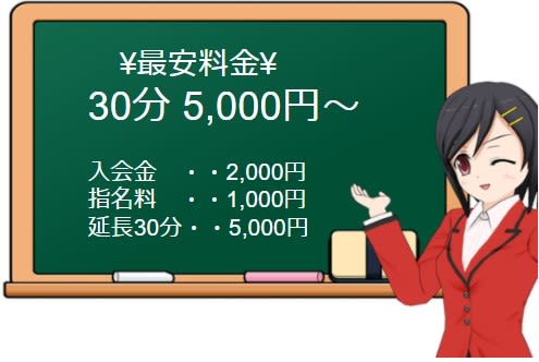 裏オプ☆パラダイスの料金システム