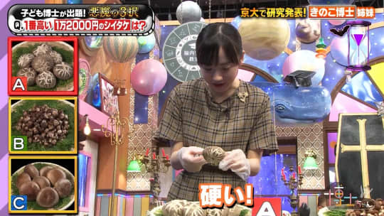 芦田愛菜　おっぱい