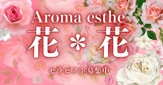 http://www.niigata-hanahana.com/