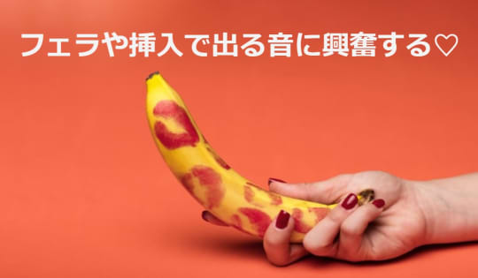 興奮する音～フェラ・挿入～