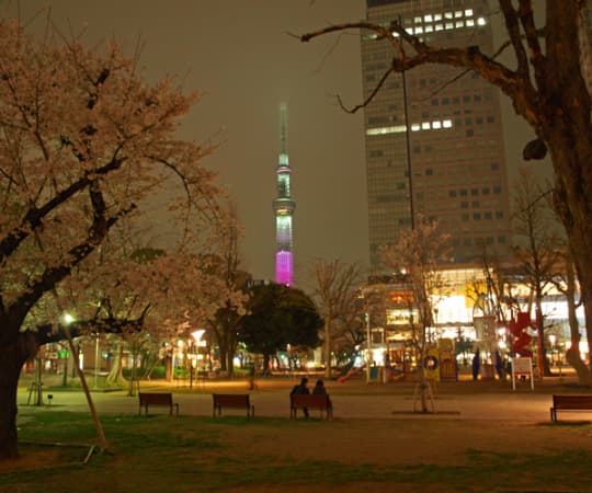錦糸公園周辺