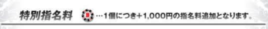 バニーコレクションの料金システム