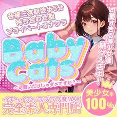Baby Cats（ベイビーキャッツ）