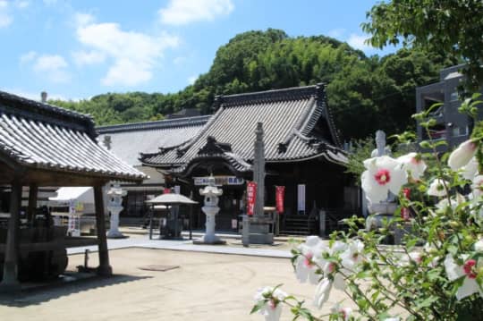 遍照院　本堂