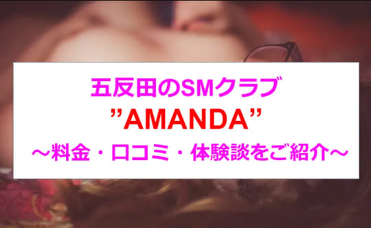 AMANDAの紹介記事