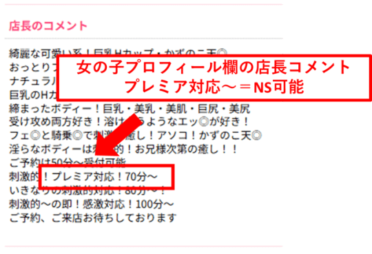 NS・NN　ソープ