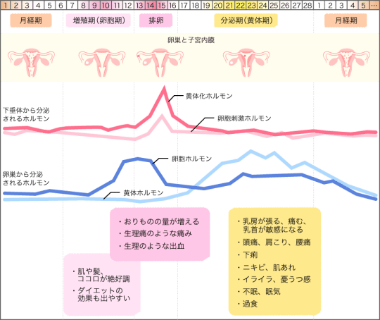 おっぱい