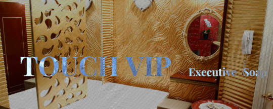 https://touch-vip.com/