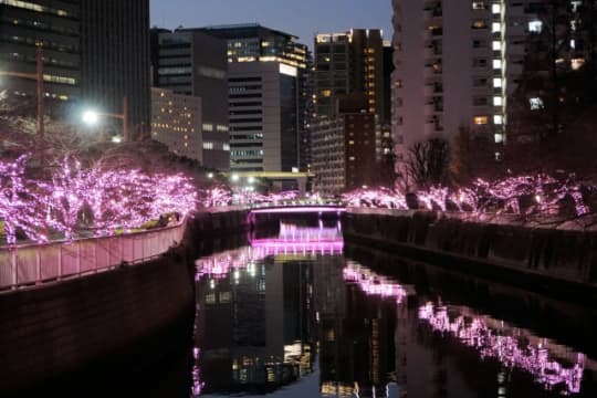 目黒川