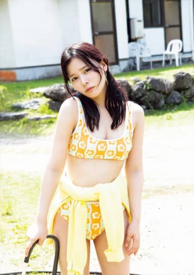 Bカップ 芸能人