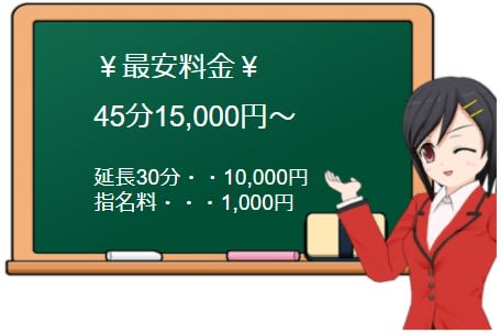 やんちゃ姫の料金表