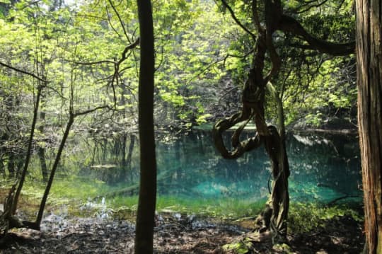 丸池様　遠景