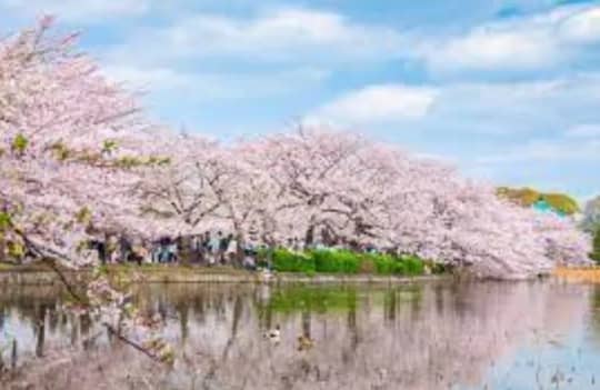 上野恩賜公園