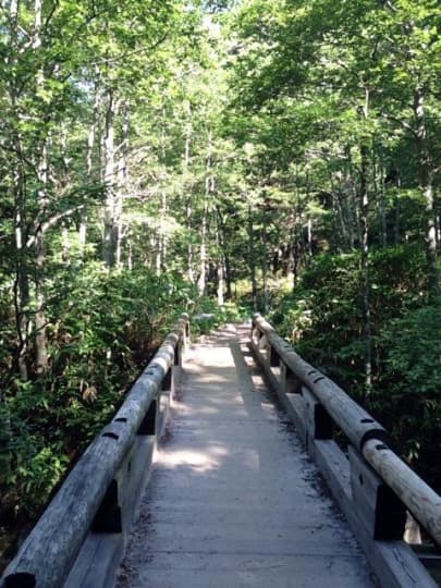 登山道