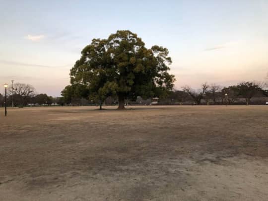 熊本の公園