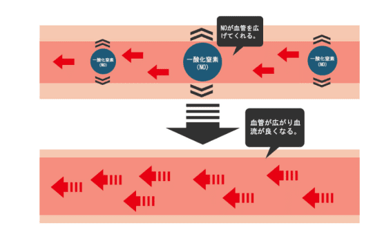 血流促進効果