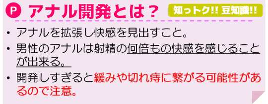 アナル開発とは？