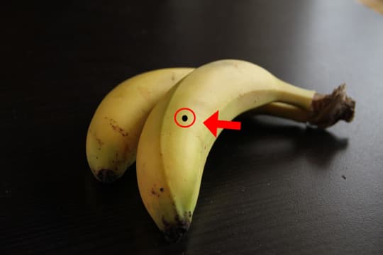 絶倫ボクロ　エロ