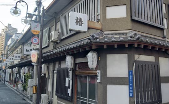 椿