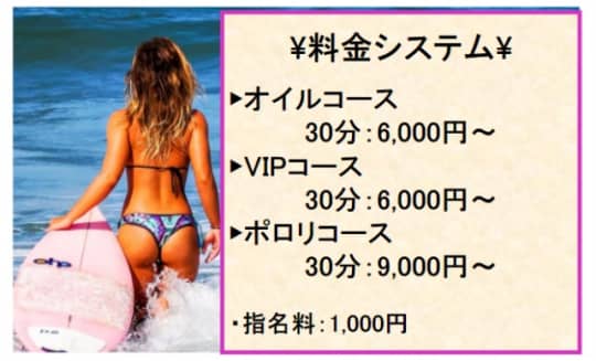 ポロリの料金表
