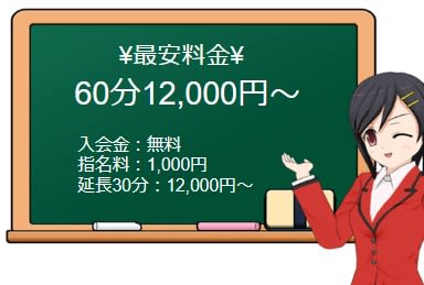 OLピンクコレクション(旧セレブ社外秘）の料金表