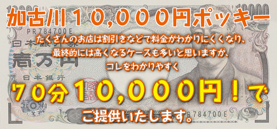 加古川10,000円ポッキーHP